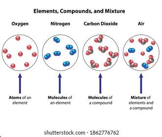 Compounds Compared Mixtures Visual Diagram Molecular Stock Vector ...