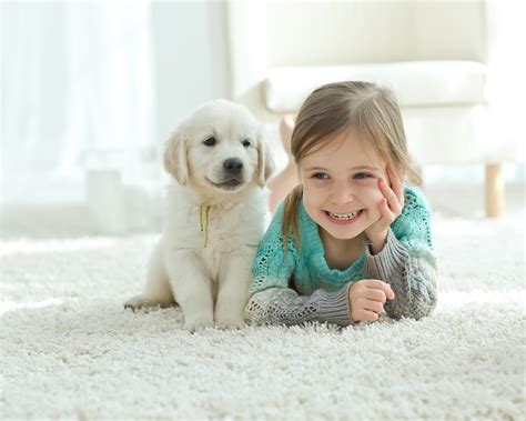 5 Good Reasons to Buy Pets for Kids | Thrifty Momma Ramblings