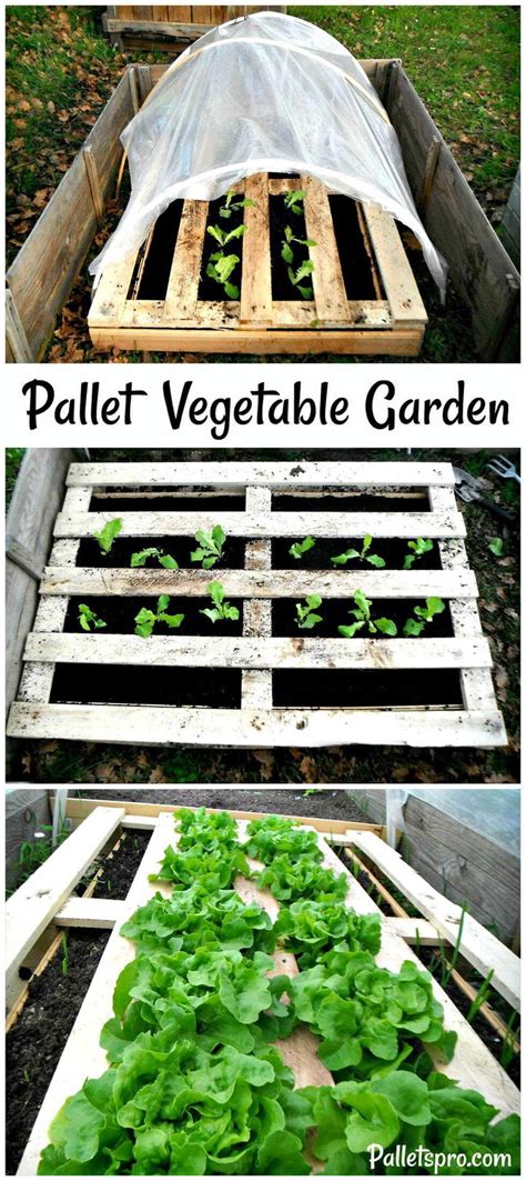 DIY Pallet Vegetable Garden - Pallets Pro