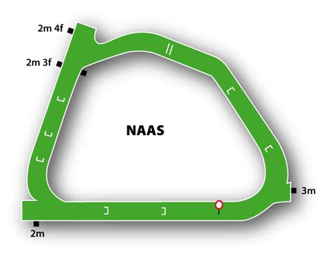 Naas Racecourse | Track Review & Course Betting Guide