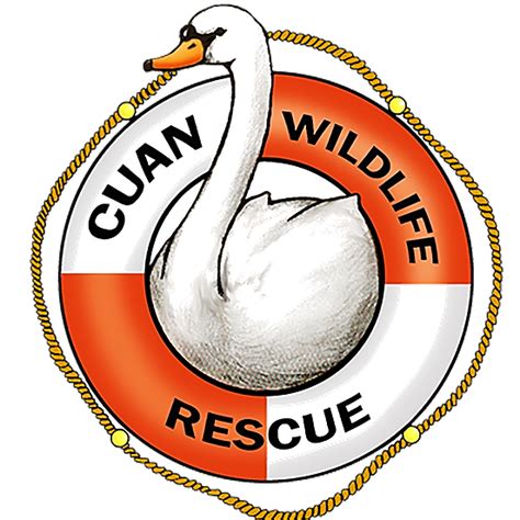 Cuan Wildlife Rescue | Twitter, Instagram, Facebook, TikTok | Linktree