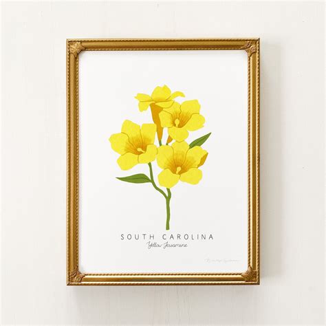 South Carolina State Flower Print CUSTOMIZABLE Yellow Jessamine Print ...