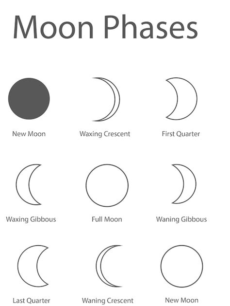 Moon Phases Coloring Sheets | Etsy