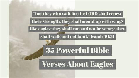 35 Powerful Bible Verses About Eagles (Soaring On Wings)