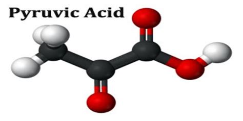 Pyruvic Acid - Assignment Point