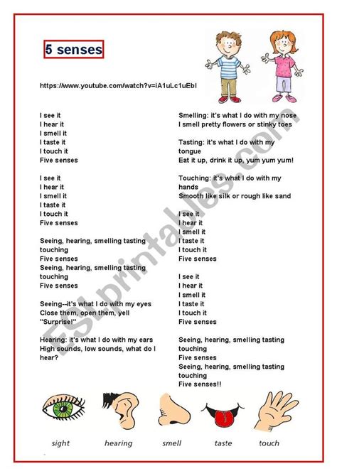 About our 5 senses. Song lyrics and exercise. | Senses, Songs, Worksheets