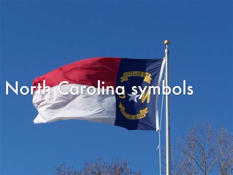 North Carolina's Symbols by Ashlyn Harris