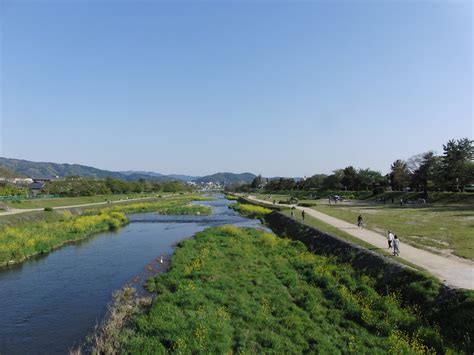 Kamo River Kyoto | Kamo River Kyoto | JapanVisitor | Flickr