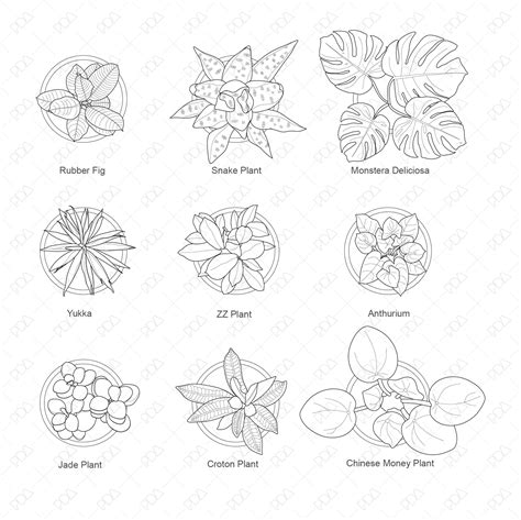 CAD and Vector Indoor Plants Set (Top view) | Post Digital Architecture