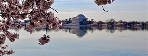 Day Trip From NYC to Washington, DC | Best Tours