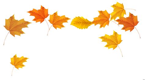 Autumn leaf color Clip art - leaves png download - 5094*2822 - Free ...