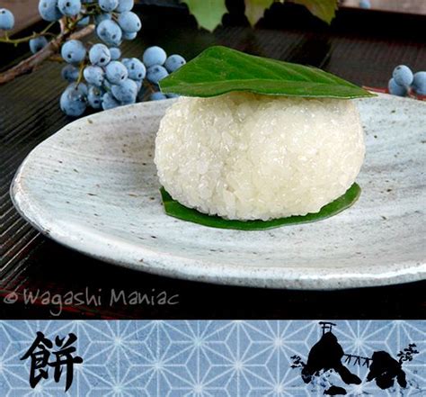 MOCHI Grundrezept - Wagashi Maniac | Wagashi, Mochi, Food