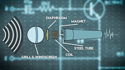 Parts Of A Microphone Diagram