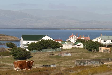 Falkland Islands | Falkland islands, Island, Holiday tours