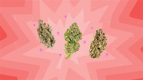 Try these popular Canadian cannabis strains | Leafly