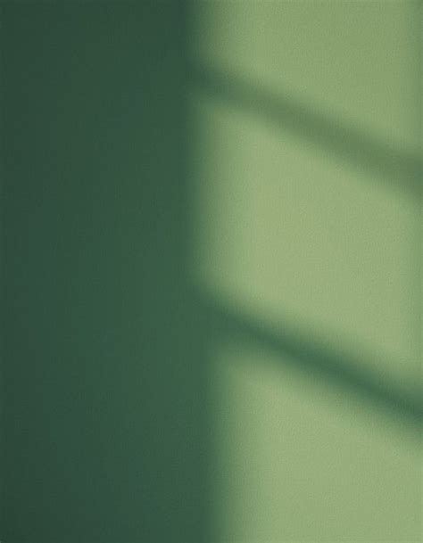 a green wall with the shadow of a vase on it's side and a window in the ...