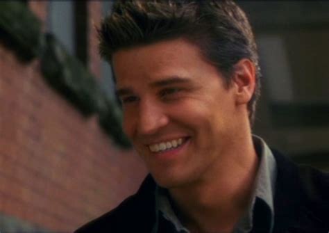 David Boreanaz - Bones Fansite