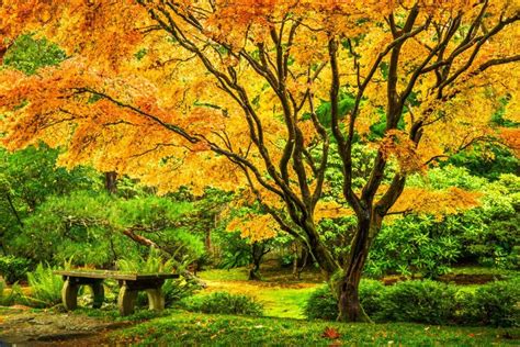 51 Best Botanical Gardens and Arboretums in the USA - Petal Republic