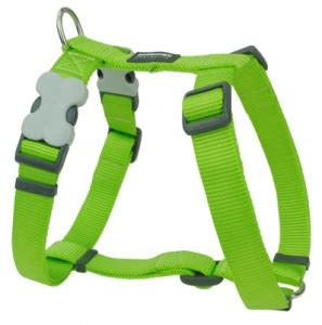 Red Dog Harness By Red Dingo | D for Dog