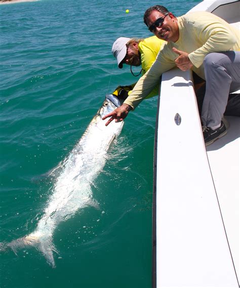 June 2014 Tarpon Fishing - Fort Myers Tarpon Fishing Charters