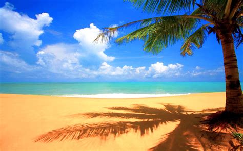 Beautiful Beach Backgrounds