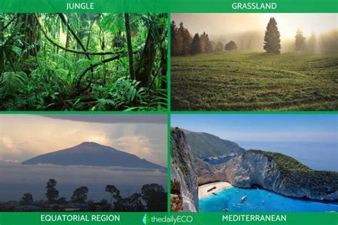 Natural Regions - Definition and Examples of Geographical Units