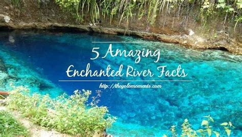 5 Amazing Enchanted River Facts in 2020 | Enchanted river, River, Tourist destinations