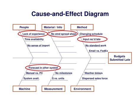 Cause and effect diagram software development - donglow