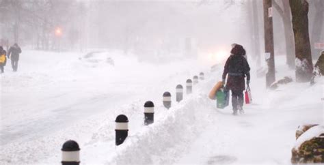 Here's what Toronto looks like after its first snowfall of the year (PHOTOS) | News