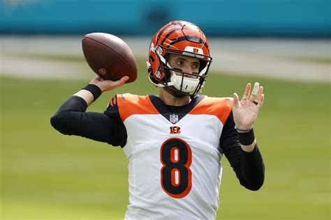 Bengals Re-Sign Backup QB Brandon Allen to 1-Year Contract