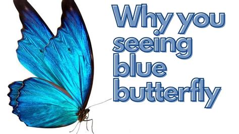 BLUE BUTTERFLY MEANING!! WHY YOU SEEING BLUE BUTTERFLY🦋!! 🤩WISH GRANTER - YouTube