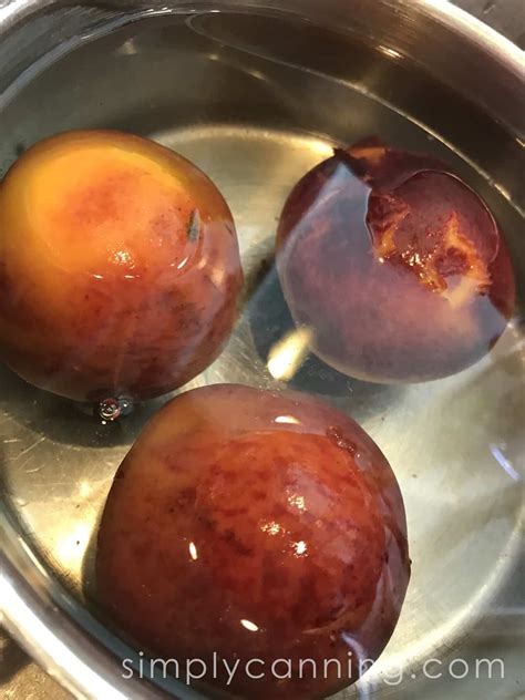 Canning Peaches: Water bath canning for beginners.