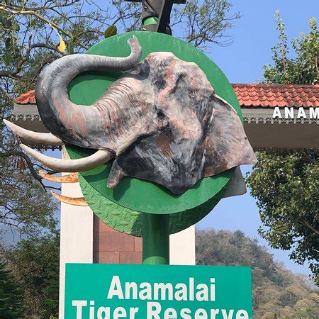 Topslip Anamalai Tiger Reserve (Pollachi Town) - 2020 All You Need to ...