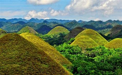 Top 5 Must-Do Tourist Attractions in Bohol, Philippines