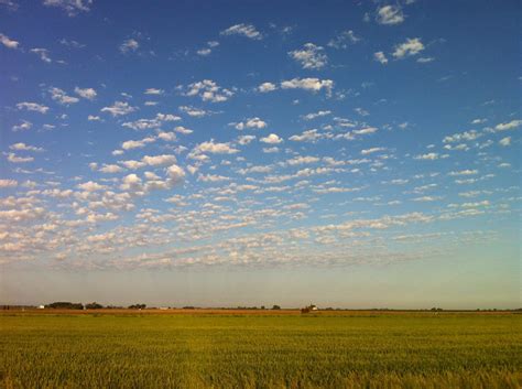 The County Roads in Yolo County. Just gorgeous! Photo Credit: Maggie Mason | Nice view, College ...