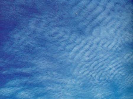 Cirrus clouds.