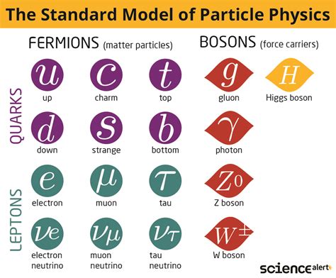 What Is The Higgs Boson? : ScienceAlert