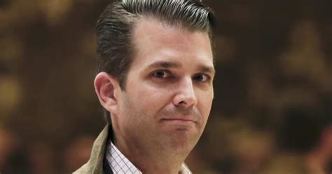 Don Jr. in contact with Wikileaks during campaign: report