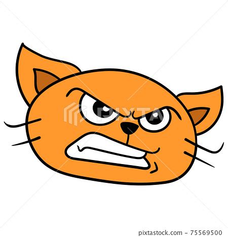 Angry Cat Face Drawing