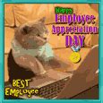 Employee Appreciation Day Cards, Free Employee Appreciation Day Wishes | 123 Greetings