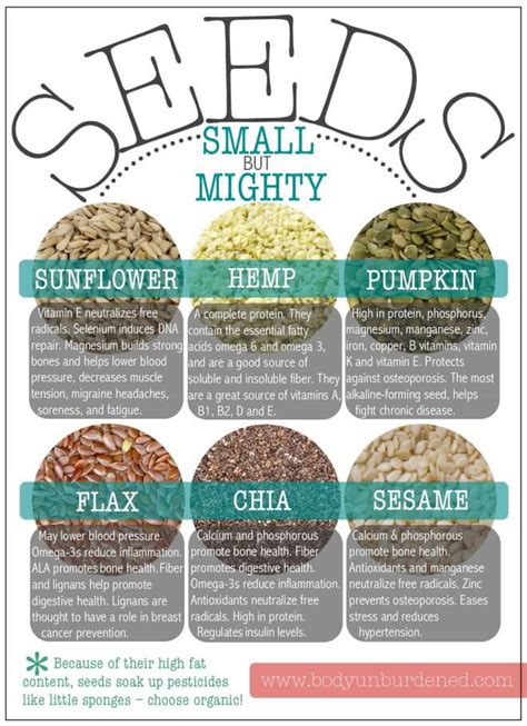 Small but mighty: The health benefits of seeds - Body Unburdened