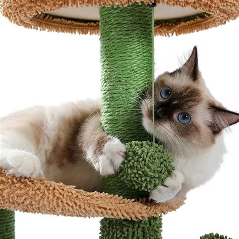 Cactus cat tree with house - SMART CAT TOYS