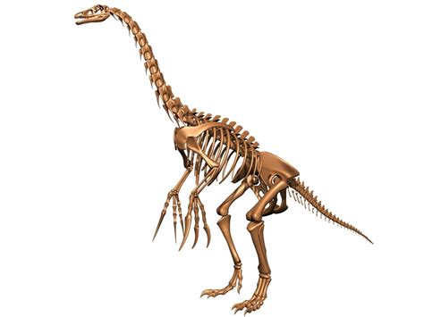 Nothronychus therizinosaurus skeleton bones 3D model - TurboSquid 1228837