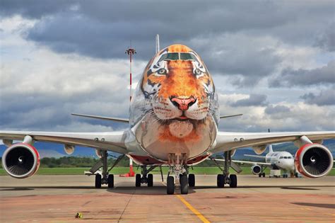 The 7 Coolest Airplane Liveries in the World and the Stories Behind ...