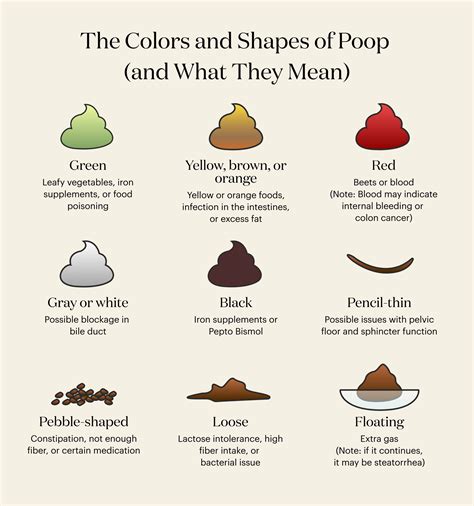 Why Is My Poop Green? And Other Poop Color Meanings | theSkimm