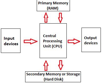 Components of Computer - UniversityMCQS