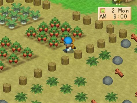 Harvest Moon: Back to Nature For Pc Fullversion - Download Game House Full Version | Free Games ...