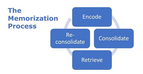 The Memorization Process | Psychology Today Singapore