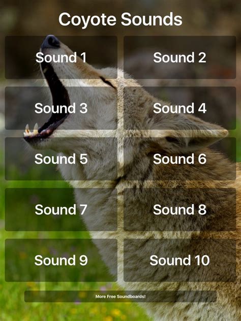 Coyote Sounds! on the App Store