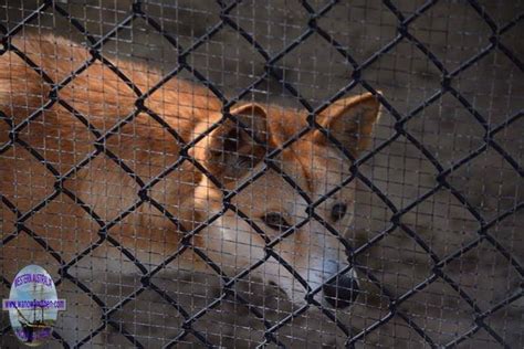 BUNBURY WILDLIFE PARK | Western Australia | www.wanowandthen.com